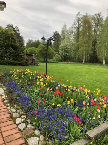 Hautjarvi Wonderful Cottage By The Lake מראה חיצוני תמונה